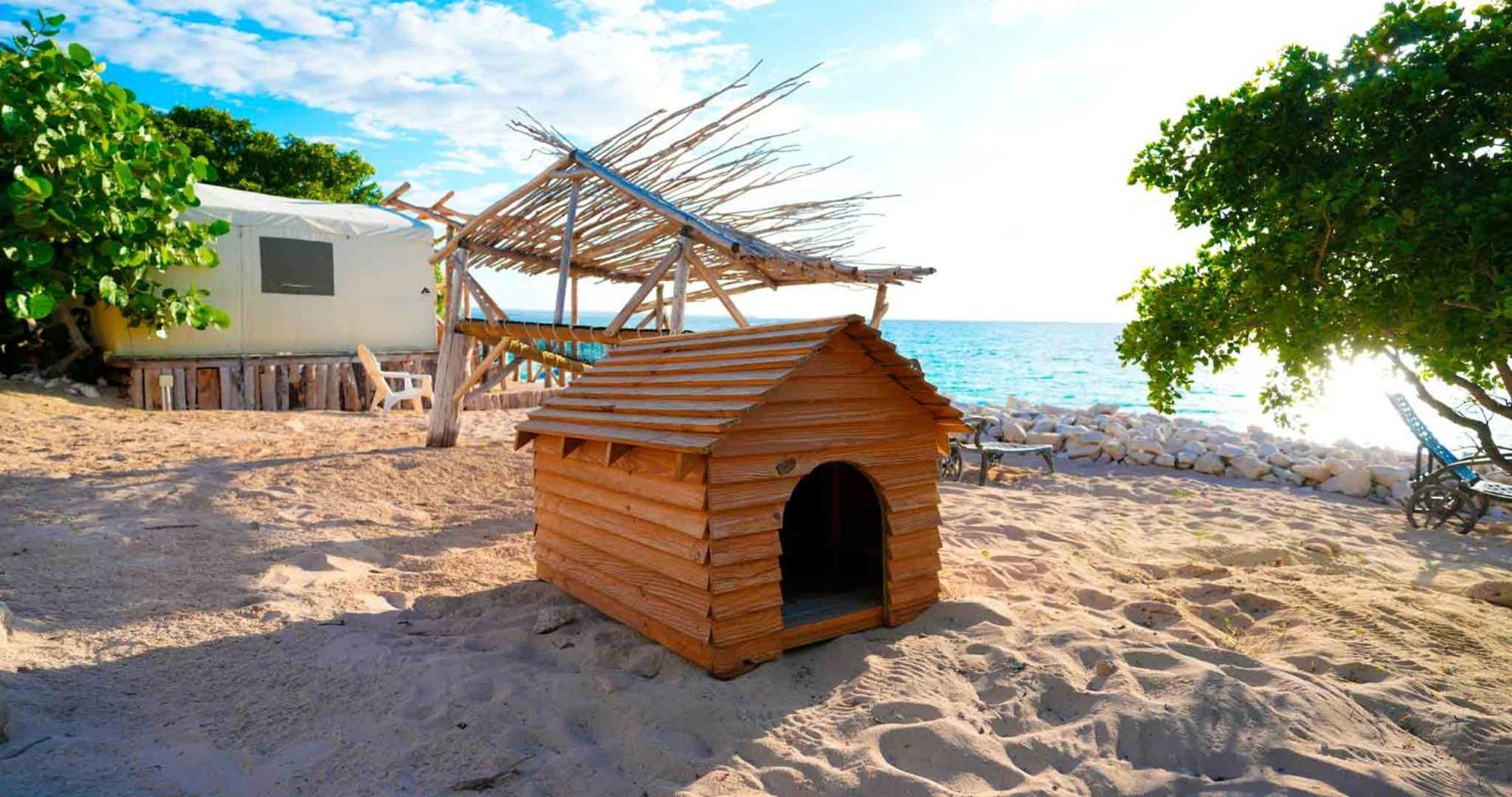 Glamping Ecolodge Cueva De Las Aguilas Pedernales Luaran gambar